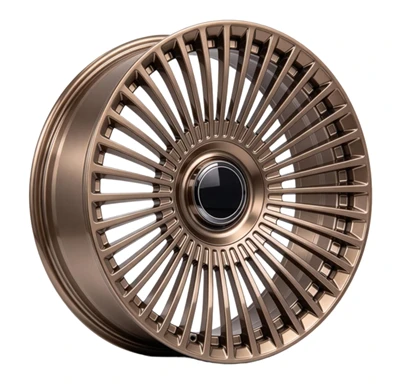 Monoblock Forged Multi-Spoke Wheels For Mercedes And Maybach Custom Luxury Rims